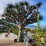 Penthouse With Breathtaking Views * La Matanza De Acentejo