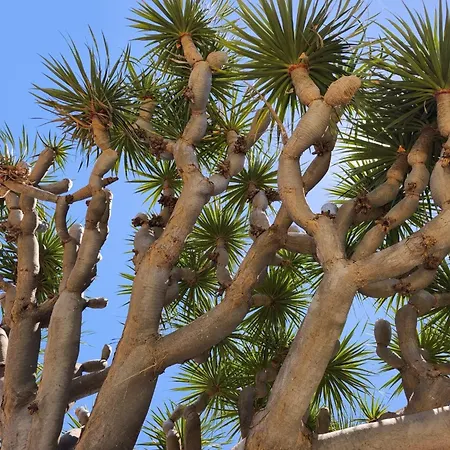 Penthouse With Breathtaking Views Appartement *