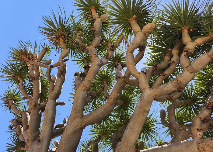 Penthouse With Breathtaking Views 아파트 *